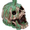 Nemesis Now Fatal Elixir Skull Potion Bottle 19.5cm, Resin, Cast