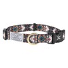 Hooey Nomad Dog Collar, Durable Polyester Webbing Collar with Graphic-Inspired
