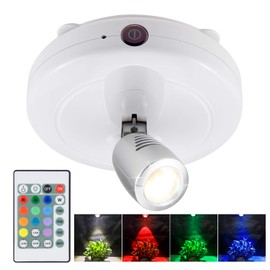 BIGMONAT Cordless Spotlight Battery Operated, RGB Picture Light with Remote and Timer, Color Changing Display Lamp, Dimmable LED Accent Lighting for Artwork Painting Dartboard Plant Gallery