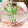DomeStar 1LB Flat Glass Marbles, Champagne Decorative Marbles for Vases