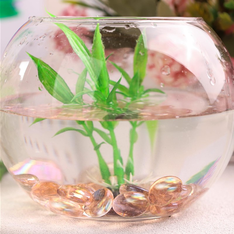 DomeStar 1LB Flat Glass Marbles, Champagne Decorative Marbles for Vases