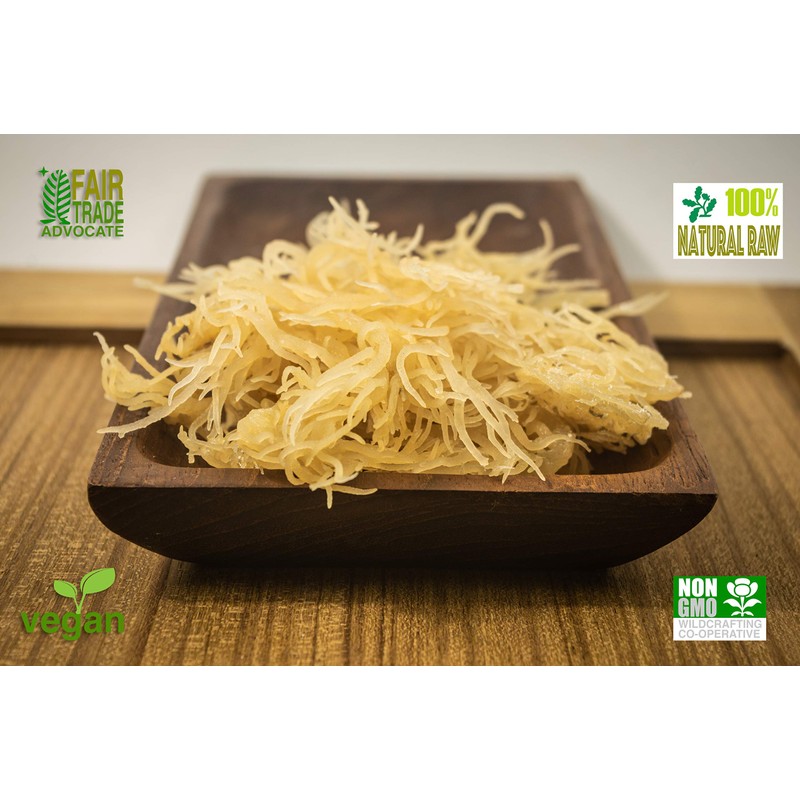 Dried Sea Moss (16 Oz (pack of one)) - Caribbean