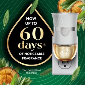 Air Wick Vibrant Plug In Scented Oil Refill,White Sage & Mahogany, 5 ct