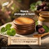 Himalaya Ayurveda Secrets Ultra Rich Lip Butter Jar – Centella