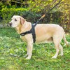 Adjustable Dog Harness for Small Medium Large Dogs, Reflective Escape