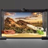 AWERT Reptile Habitat Background Blue Sky Oasis Cactus Sun and
