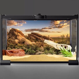 AWERT Reptile Habitat Background Blue Sky Oasis Cactus Sun and Desert Terrarium Background 72x18 inches Durable Polyester Background