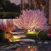 ledscom.de DUK Garden Spotlight for Outdoor Use, IP65, Plug, Grey,