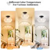 OYKYOHEI Semi Flush Mount Ceiling Light, Globe Glass Ceiling Light
