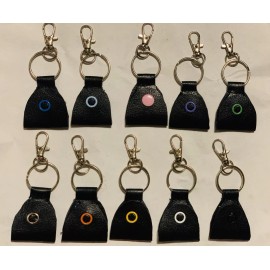 Reciclart / La Jolie 3 Pick Holder  - Handmade In USA Key Chain