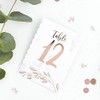 Luck and Luck Rose Gold Wedding Table Numbers 1-12