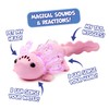 Fingerlings Interactive Baby Axolotl with Inflatable Pool, Alix, Swims and