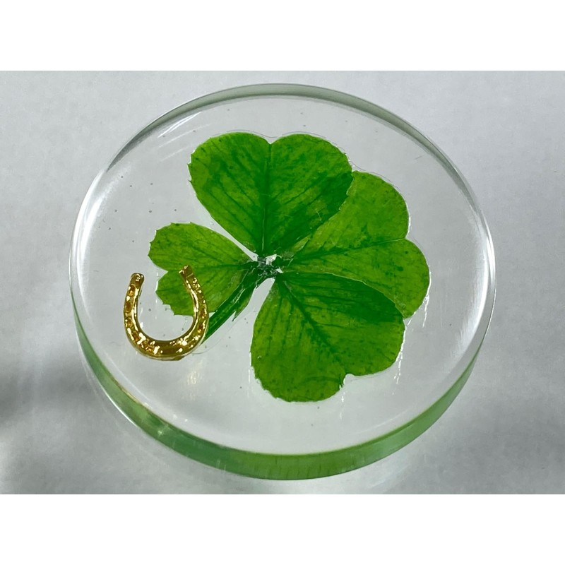 Real Four Leaf Clover Good Luck Pocket Token, Preserved, 1.25”,