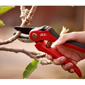 Ace" Anvil Pruning Shear8"