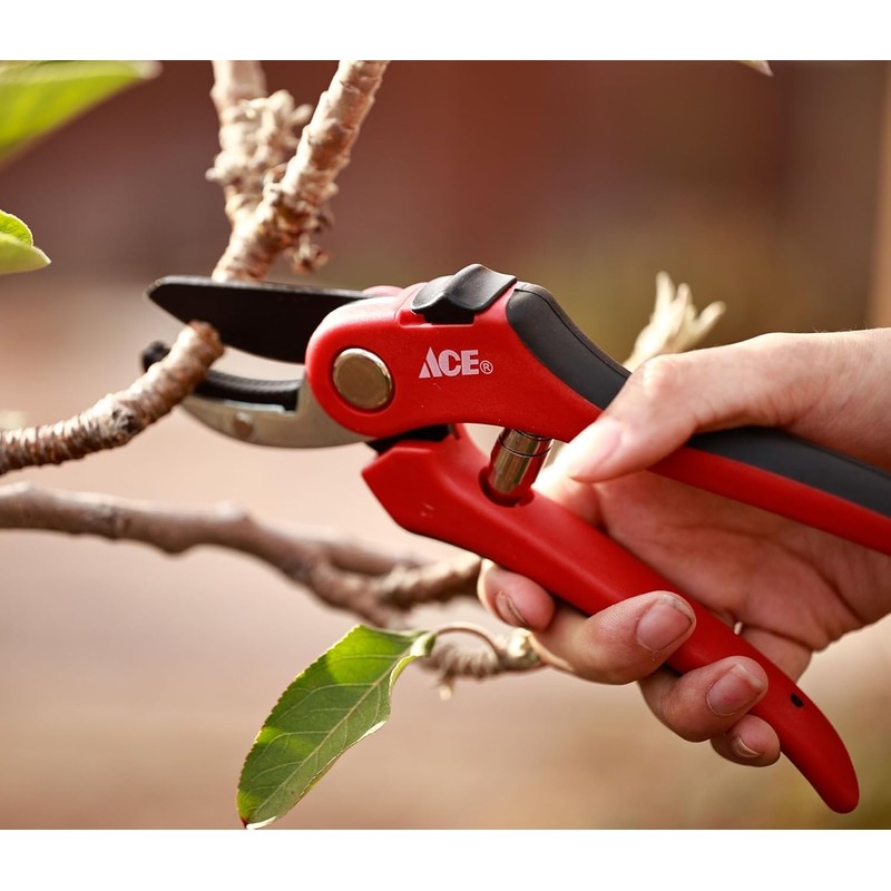 Ace" Anvil Pruning Shear8"