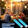 Bug Lights Bulbs for Outside Replacement Zapper Light Bulbs Insect