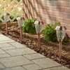 Smart Solar 3426WRM6-HC Charleston 6-Pack Solar Lights, Copper, Stainless Steel,