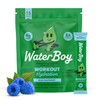 Waterboy- Hidratación de entrenamiento Paquetes de Polvo de Electrolitos Sin
