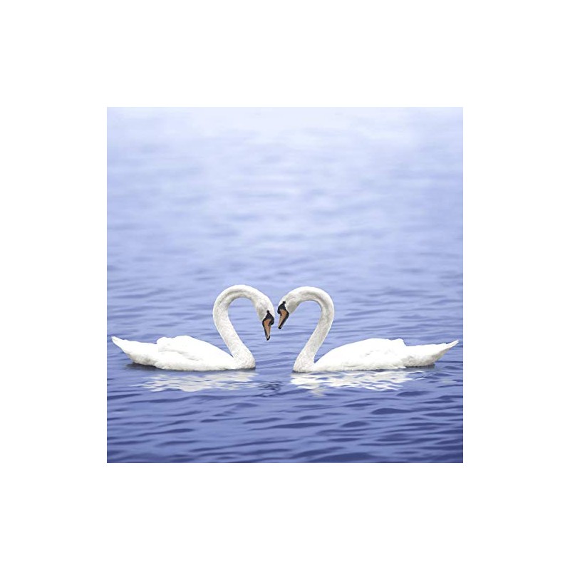20 Lunch Napkins Loving Swans 33 cm