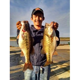 8" Spring Shad Multi Jointed Swimbait Bass Fishing Bait Hard Lure Slow Fast Sinking Life Like Big Gizzard Shad Minnow Bluegill Dark Sleeper Hooks (8" Golden Shiner)