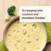 Campbell’s Homestyle Broccoli Cheddar Soup, 16.3 oz Can
