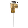 RecPro 1/2" RV Pressure Relief Valve with 4" Epoxy-Coated Probe