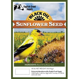 English Creek Supply Black Oil Sunflower Seed Wild Bird Food (40 Pound) (Packaging May Vary)