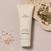 Forituual (self-produced product) [Brush included] Foritual Yulmoor Star Herb Pack