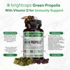 Brightcaps Brazilian Green Propolis | 87% Dry Extract | Immune
