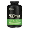 Suplemento en Polvo Optimum Nutrition Micronized Creatine Powder en Pote