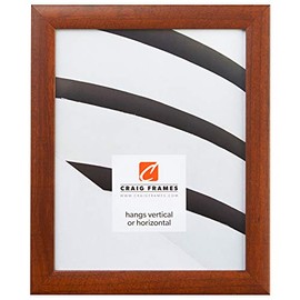 Craig Frames Contemporary, 18x24 Picture Frame, Honey Brown