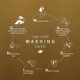 Dove Pampering Care Hand Wash For Clean & Softer Hands Shea Butter & Warm Vanilla Cleanser That Washes Away Dirt and Germs 34 oz 3 Count