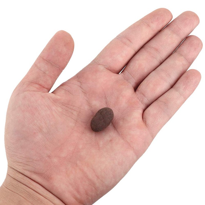 Clay Pebble, Wacent Hydroponic Clay Pebbles Grow Media Anion Clay