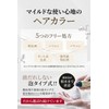 Hair Boteecra Botanical Air Color Foam EX Light Brown 5.3