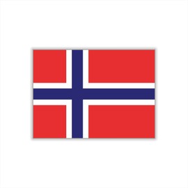 Womaha 30 Sheets Norway Flag Temporary Tattoos for Kids Adults Fans Fake Face Tattoo Stickers