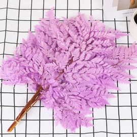Tavkite Fern Preserved Purple Ferns, 10 PCS Dried Boston Fern with Stems, 15'' Real Leaves for Dried Flowers Arrangements Wedding Garland Bouquets Home Party Centerpiece Table Decorations Vase Filler