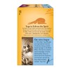 Yogi Tea, Stomach Ease, 16 Count