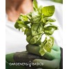 Hydroponic Indoor Pepper Growing Kit – Indoor Pepper Variety Pack