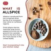 Spicy World Allspice Ground 16 Ounce - Huge 1 Pound