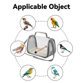 Gxdamxz Vogel Transportbox mit Holzstab & Tablett, Vogelkäfig für Wellensittich/Sittiche/Kleintiere, Bird Transport Box, 27x20x20cm