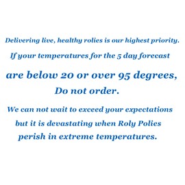 Roly Poly Farm(Assorted Colors), Pocket Habitat, and Roly Poly kit for Kids (Fast Producing Colony + 10 Yeti Rolies) Available only if Your Local 5 Day temperatures are Between 20-95 Degrees