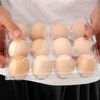 JAPCHET 100 Pack Plastic Egg Cartons, Clear 12 Egg Cartons