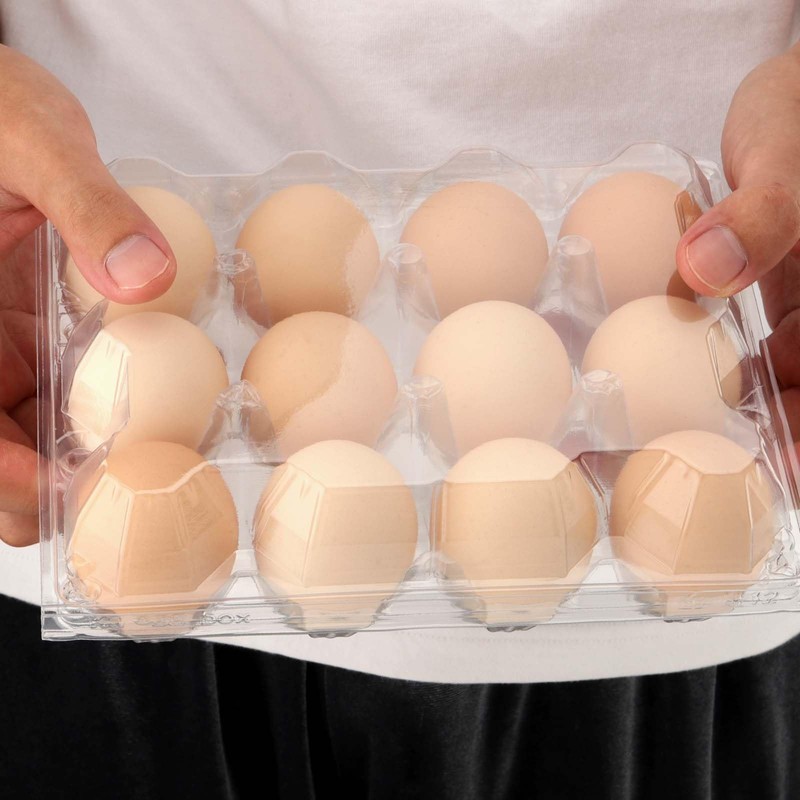 JAPCHET 100 Pack Plastic Egg Cartons, Clear 12 Egg Cartons
