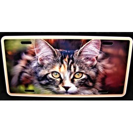 DIGIART INTERNATIONAL CAT EYES PAWS CAT ANIMAL LOVE FRIEND METAL NOVELTY CAR LICENSE PLATE AUTO TAG