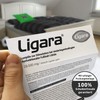 Ligara® for Hanover Fan Item Gift Birthday Fans (1x Single