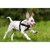 Kruz Original Heavy-Duty No Pull Dog Harness - Ultra Comfort,