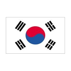 5x8' South Korea Nylon Flag