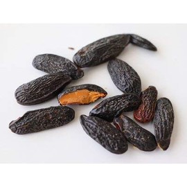 cotta tonka beans 0.4 oz (10 g)