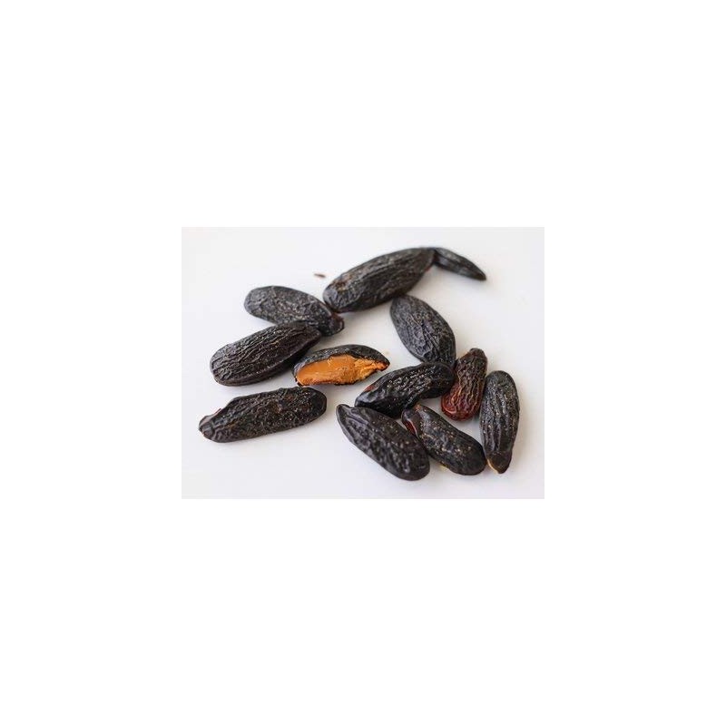 cotta tonka beans 0.4 oz (10 g)