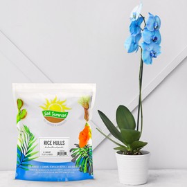 Horticultural Grade Rice Hulls (8 Quarts); All Natural Organic for House Plants and Chicken Bedding